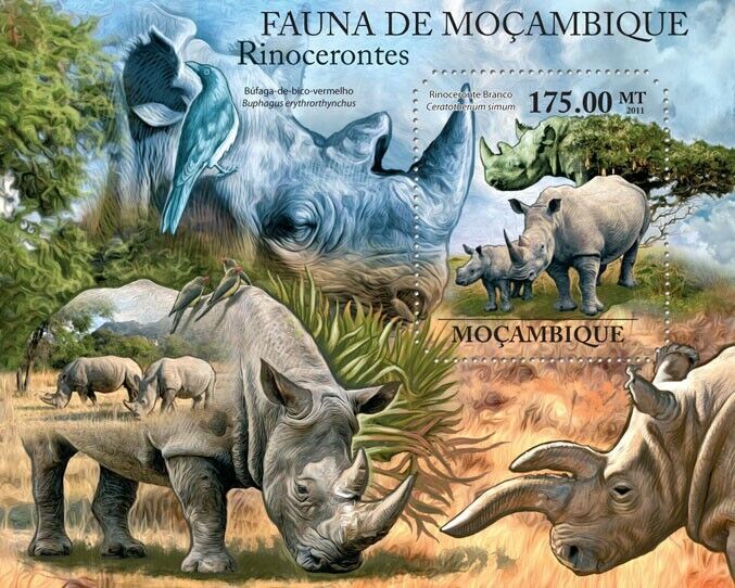 Mozambique 2011 Mnh - Rhinos. Y&t 457, Mi 4986/bl.514, Scott 2377