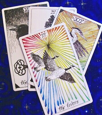 The Wild Unknown 3rd Third Edition Tarot Single Replacement Card
